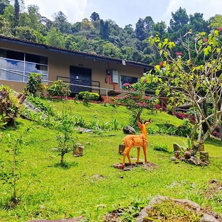 J Residence Kampong Kundassan المظهر الخارجي الصورة
