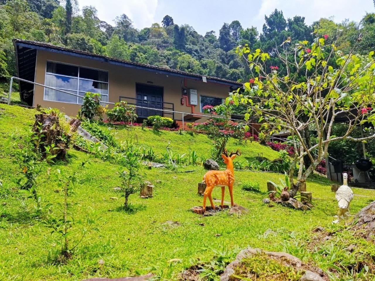 J Residence Kampong Kundassan المظهر الخارجي الصورة